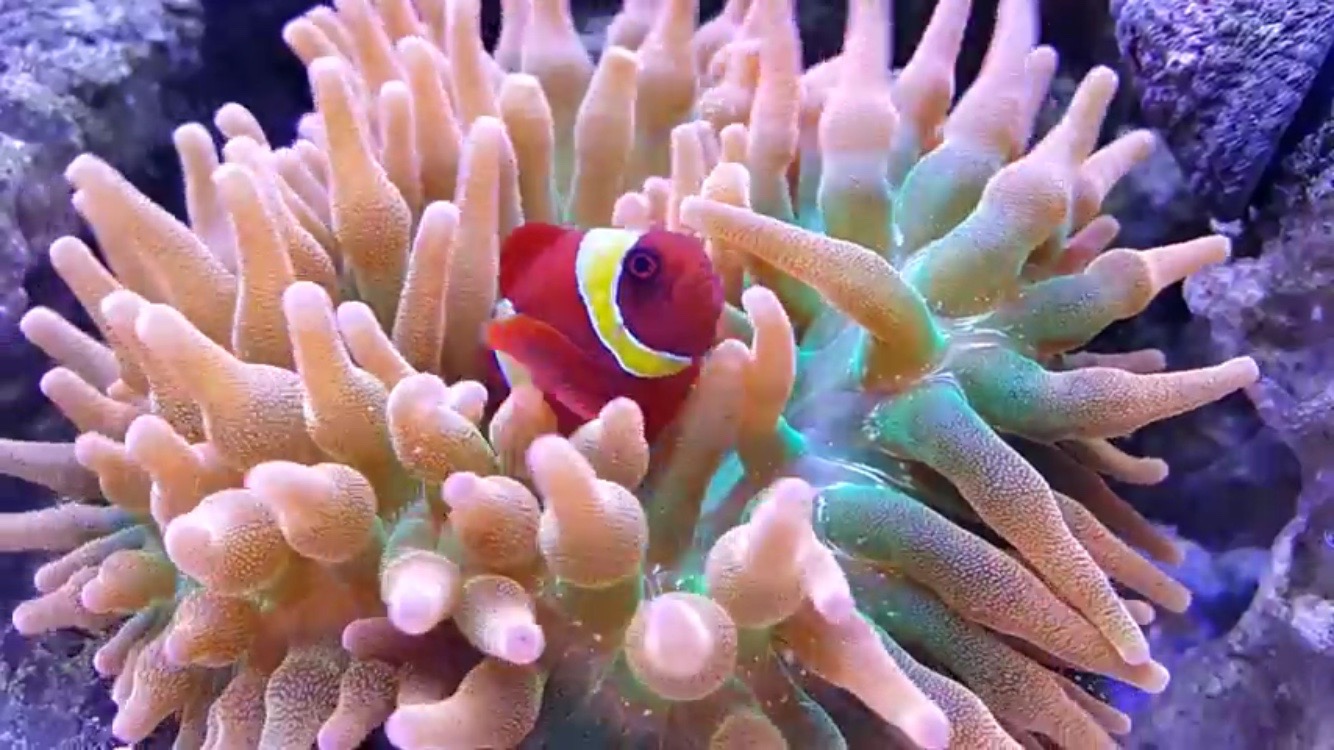 Los 10 tipos principales que los principiantes deben evitar