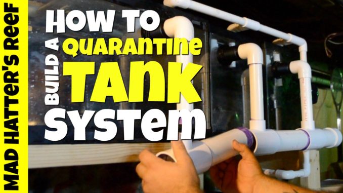 Quarantine tank system