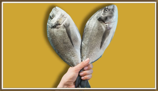 Marketing y ventas: criar peces saludables para ventas